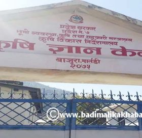 अविरल बर्षाका कारण बाजुरामा २ करोड बढिको अन्नबालीमा क्षेती