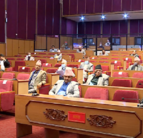 राष्ट्रियसभा बैठक : १० दिनमा चार बैठक, के-के भयो काम ?