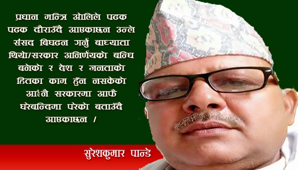 ओलि घेरा बनन्दिमा छन की देश ?