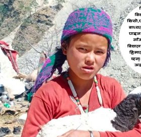 बाल्यकाल देखिनै भेडा सँगै हिड्छन्, १४ बर्षिय सिता