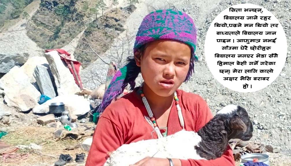 बाल्यकाल देखिनै भेडा सँगै हिड्छन्, १४ बर्षिय सिता
