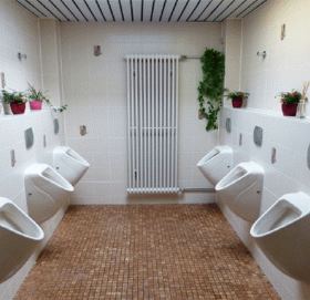 चिनियाँ कम्पनीको अनौठो नियम, एक पटकभन्दा बढी ट्वाइलेट गए जरिमाना