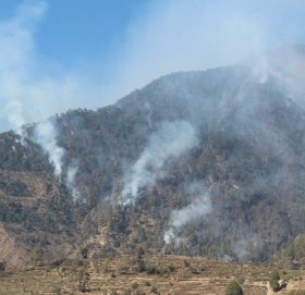 जंगलमा लागेकाे डढेलोले जलेर एक महिलाको घाइते