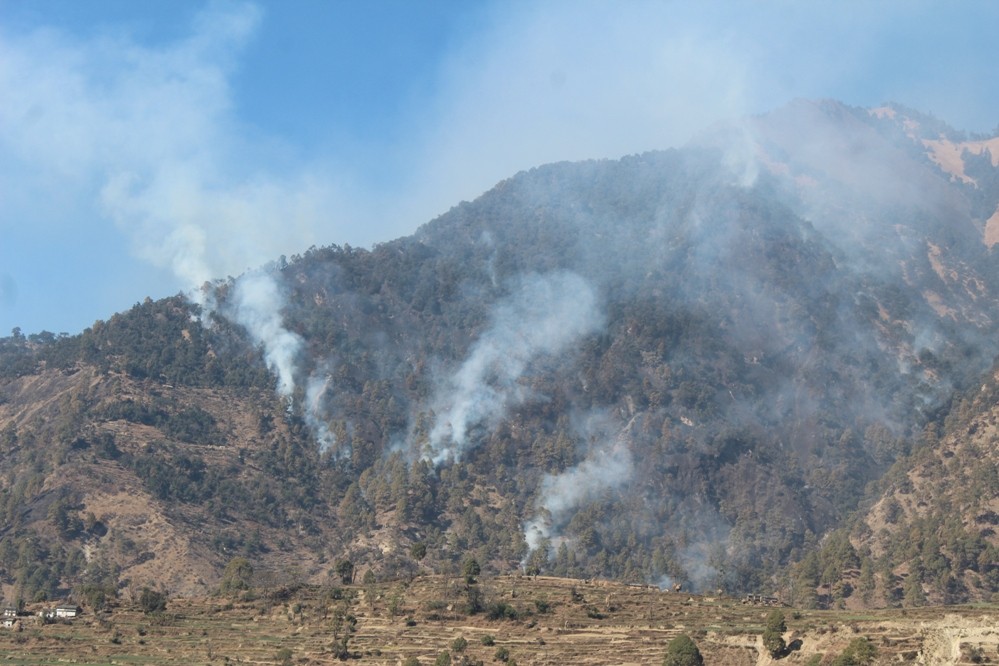 जंगलमा लागेकाे डढेलोले जलेर एक महिलाको घाइते