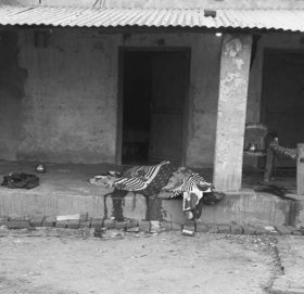 कञ्चनपुरमा बुहारी र नातीले गरे बृद्धको हत्या !