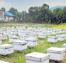 मह बेचेर ३५ लाख