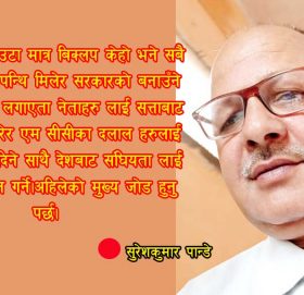 के यिनै नेताको नेतृत्वमा क्रान्ती सम्भब होला?