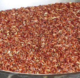 जुम्लाको २ सय क्वीन्टल मार्सी चामल किन्दै खाद्य कम्पनी