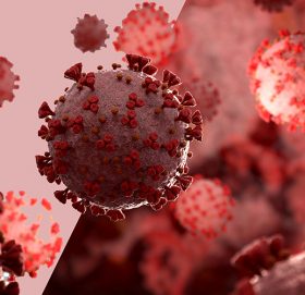 कोरोना हटस्पट बन्दै वीरगन्ज, पर्सामा ११ को मृत्यु