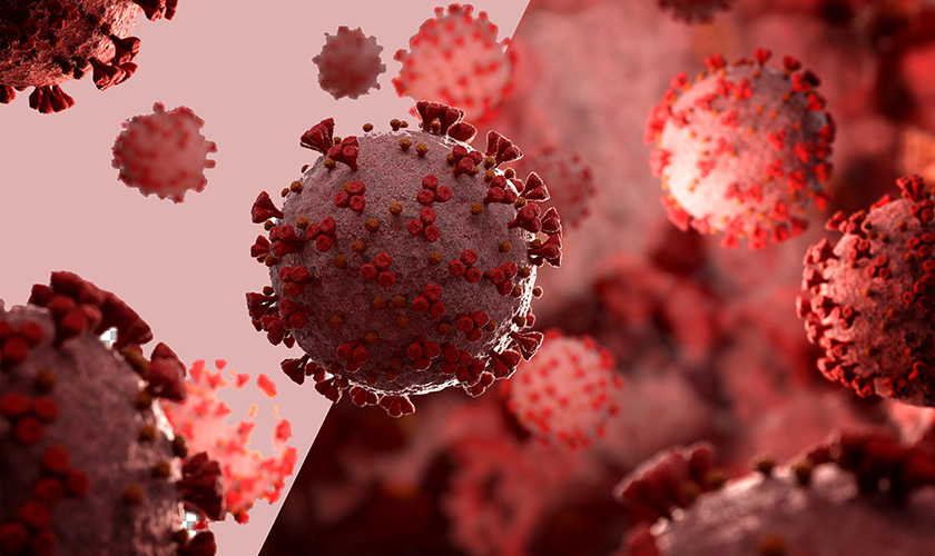 जनगणनाको तालिमका सहभागी नै कोरोना संक्रमित, निकाय बेखबर