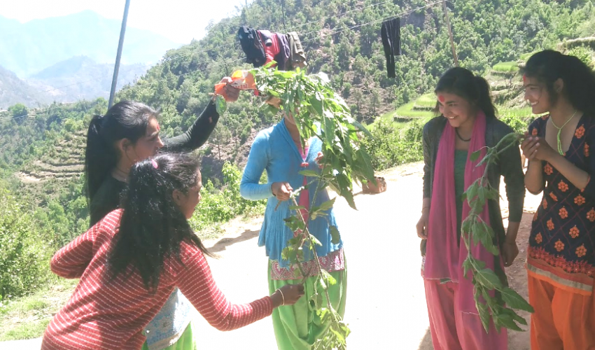 सुदूरपश्चिममा मनाइने विषु पर्व के हो ? किन मनाइन्छ ?