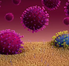 बाजुराको हिमालीमा फैलियो कोरोना, १४ जना संक्रमित गाँउपालिकाको सेवा बन्द