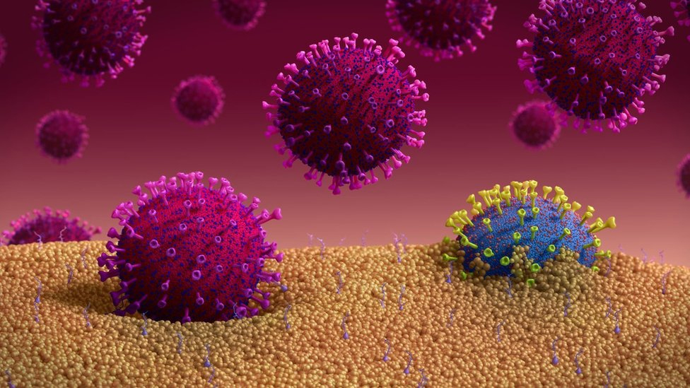 बाजुराको हिमालीमा फैलियो कोरोना, १४ जना संक्रमित गाँउपालिकाको सेवा बन्द