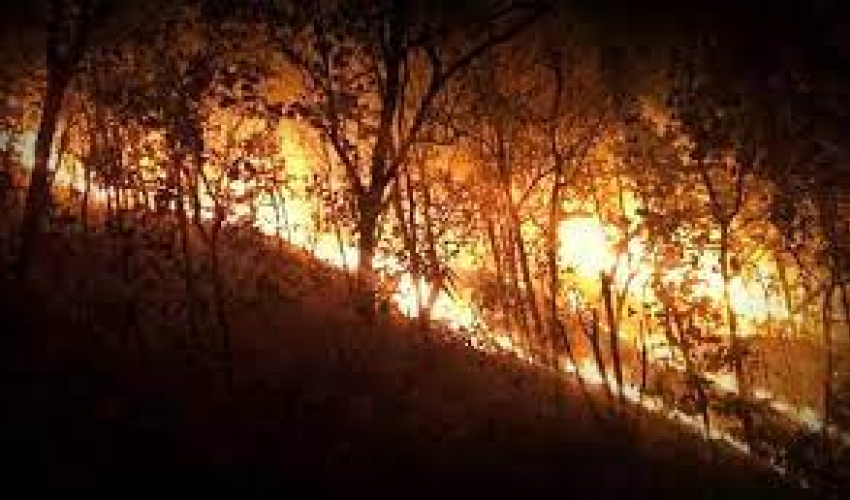 सुदूरका वनमा लागेको डढेलोमा अब तराईको खेतमा जलाएको गहुँको नलको धुवाँ थपियो