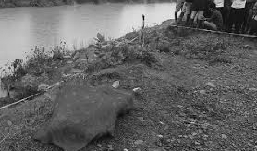 कञ्चनपुरमा एक महिला मृत फेला