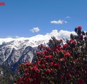 आहा ! बाजुराको बडिमालिका : स्वर्गजस्तै सुन्दर (फाेटाे फिचर)