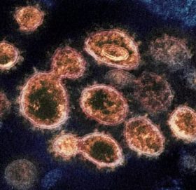 भारतमा भेटियो कोरोनाको नयाँ भेरियन्ट, १५ गुणा बढी खतरनाक