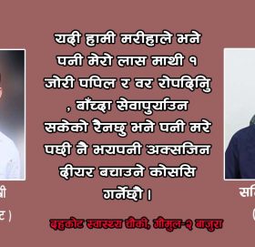 स्वास्थ्यकर्मी पेसाले धेरै कुरा सिकायो