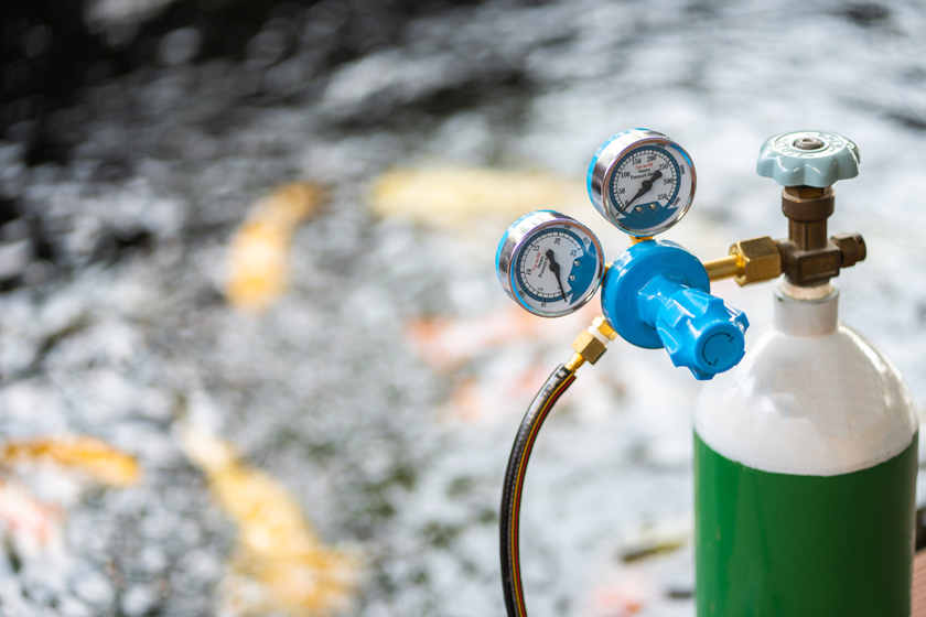 ललितपुरको अक्सिजन प्लान्टमा विस्फाेट हुँदा एकको मृत्यु, चार घाइते