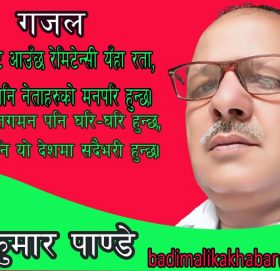 देशमा प्रतिगमन पनि घरि-घरि हुन्छ,