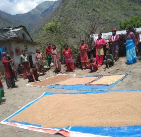 आइडिएस नेपालद्धारा गौमुल गाउँपालिकाको दहकोटमा स्वास्थ्य साम्रगी बितरण