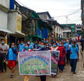 बाजुरामा मनाइयो राष्ट्रिय धान दिवस