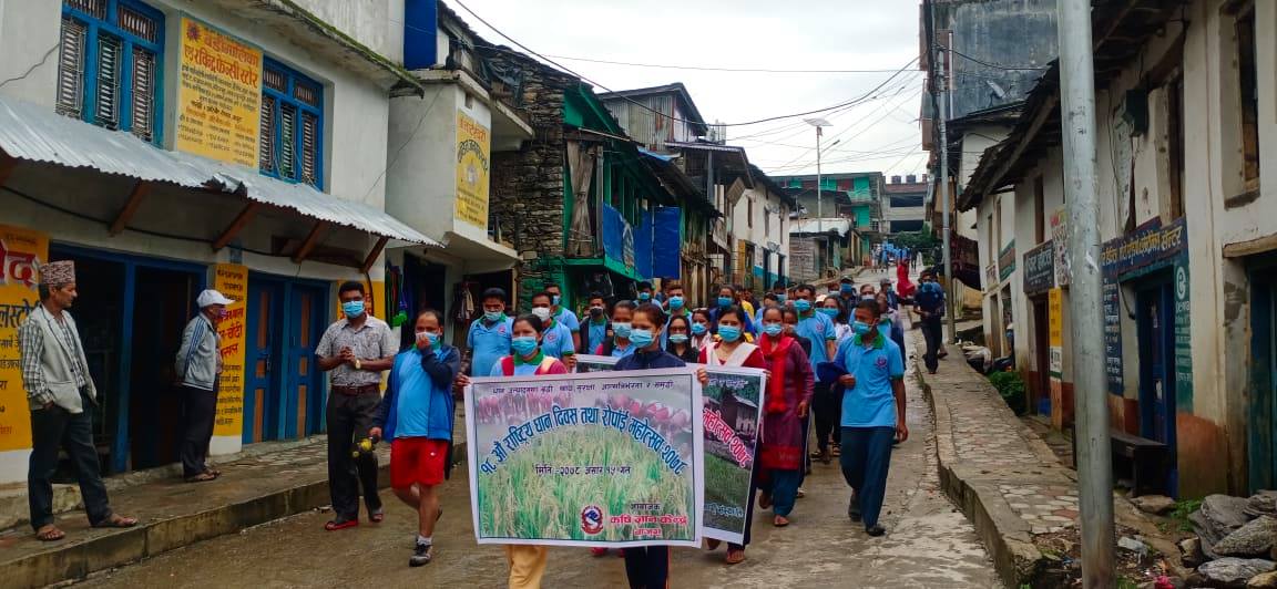 बाजुरामा मनाइयो राष्ट्रिय धान दिवस