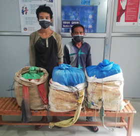 ४० किलो गाँजासहित पर्साबाट दुई जना पक्राउ