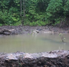 जंगली जनावरका लागि सामुदायिक वनमा पोखरी निर्माण