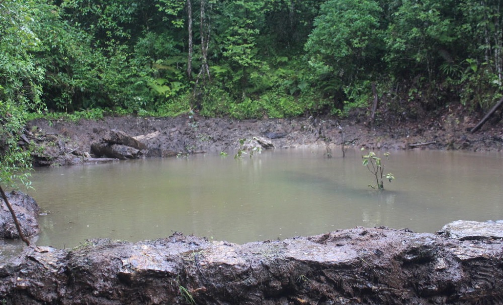 जंगली जनावरका लागि सामुदायिक वनमा पोखरी निर्माण
