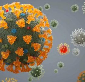 एक सातामा २८ जनालाई कोरोना संक्रमण, सतर्कता अपनाउन आग्रह