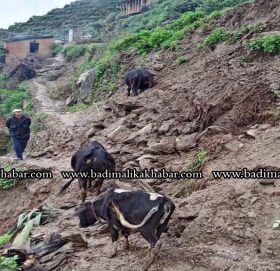 पहिरोमा परि स्वामिकार्तिकका ३ परिवार बिस्तापित, २ सय परिवार जोखीममा