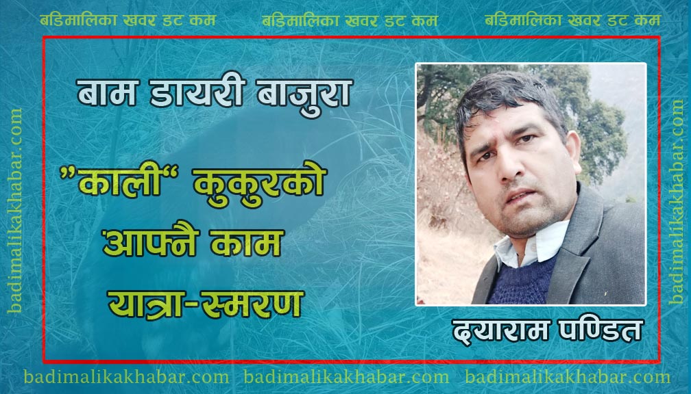 “काली” कुुकुुरको आफ्नै काम