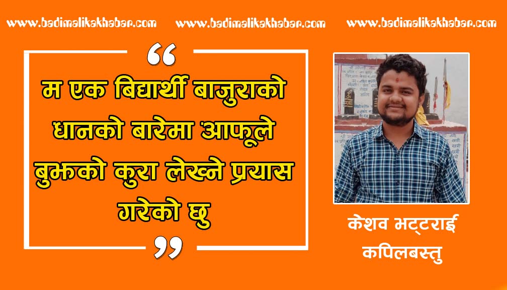 सुनालोः बाजुराको रैथाने धान