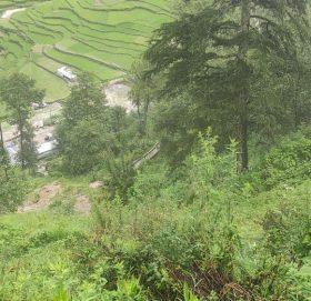 युनिसेफको  योजनाले किमखोला बस्ती र बिधुत नहर जोखीममा