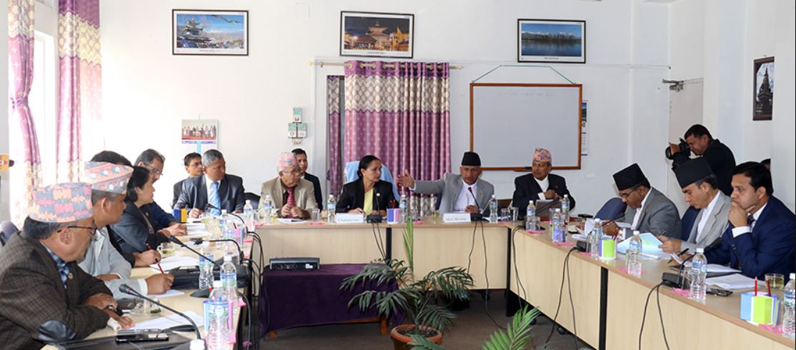 एमाले विवाद : माधव नेपाल र नारदमुनि रानाबीच संसदीय समितिमै भनाभन