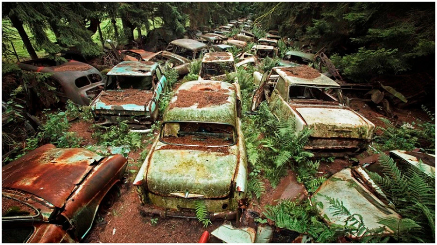 जंगलभित्र ७५ वर्षदेखि सयौँ कारको जाम (भिडियो सहित)