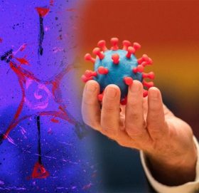 नयाँ भेटिएका भाइरसहरू कति चिन्ताजनक छन्?