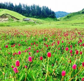 सुन्दर बनेको ‘भू–स्वर्ग’ खप्तड घुम्ने माैसम  (फोटो फिचर)