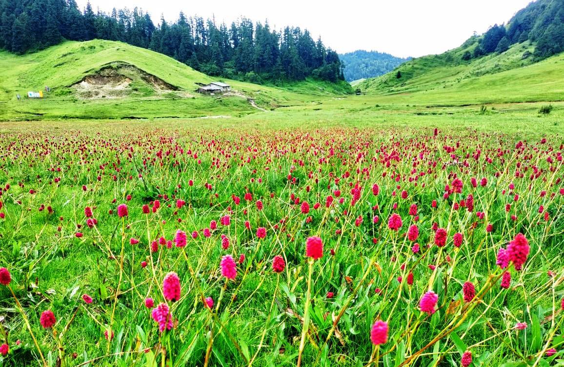 सुन्दर बनेको ‘भू–स्वर्ग’ खप्तड घुम्ने माैसम  (फोटो फिचर)