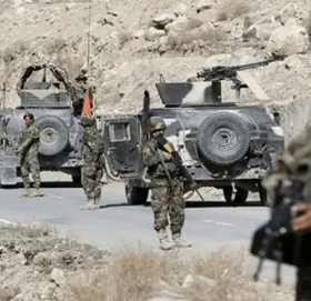 अफगानिस्तानमा ८१ लडाकू मारिए