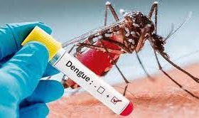 ६० जिल्लामा डेंगु देखियो, एक महिनामै ४ सय बिरामी