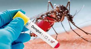 ६० जिल्लामा डेंगु देखियो, एक महिनामै ४ सय बिरामी