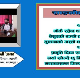 साइनोहरू