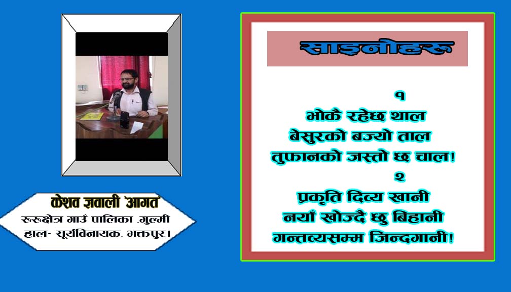 साइनोहरू