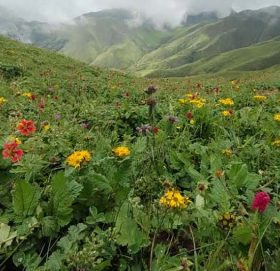 प्रकृतिको अनुपम उपहार बडिमालिका पुग्दा…