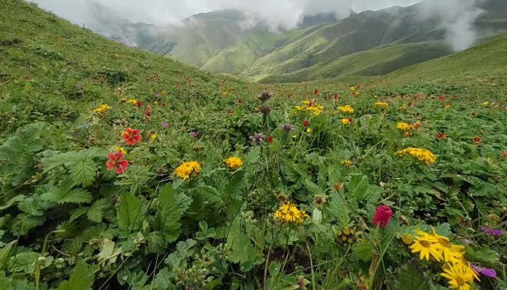 प्रकृतिको अनुपम उपहार बडिमालिका पुग्दा…