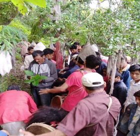 बझाङ र दार्चुलाका सुर्मा देवीकाे मन्दिरमा  अष्टमी पूजा गरियो