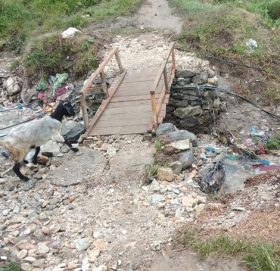 पनेरी खोला जिउलामा काठेपुल निर्माण