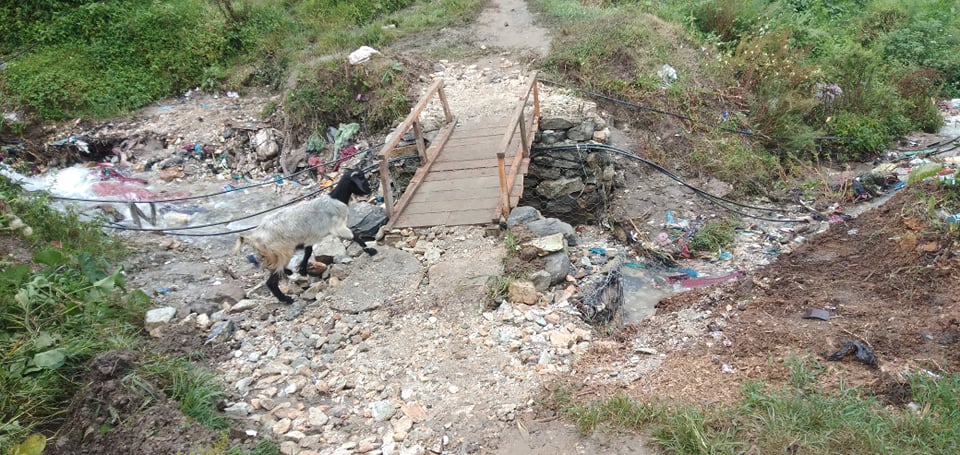 पनेरी खोला जिउलामा काठेपुल निर्माण